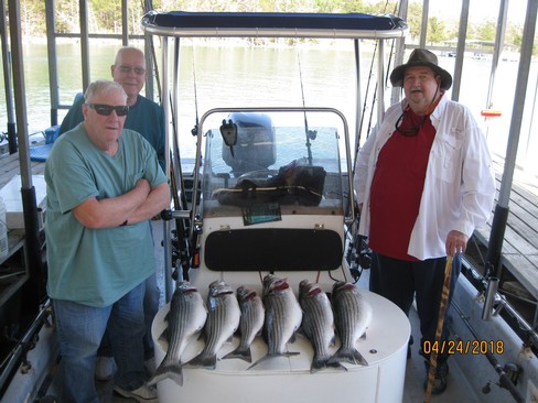 Nice Striped Bass